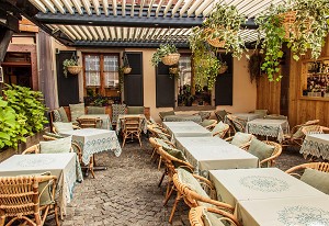 La terrasse